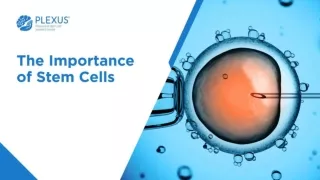The Importance of Stem Cells