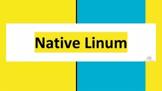 Products Range of Native Linum