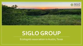 Siglo Group: A Comprehensive Approach to Protecting Our Planet