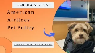 American Airlines Pet Policy Guidelines |  1-888-660-0563