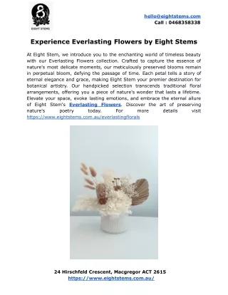 Experience Everlasting Flowers by Eight Stems