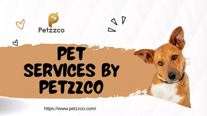 pet services by petzzco