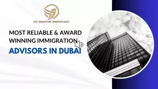 Your Path to Immigration Success: Ace Migration Services - Dubai's Premier Immig