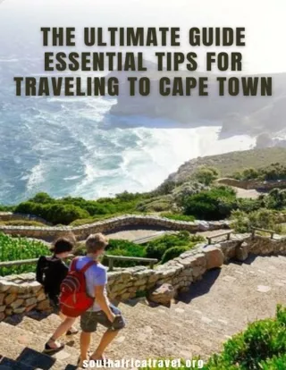 The Ultimate Cape Town Traveling Guide