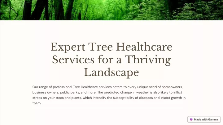 expert tree healthcare services for a thriving