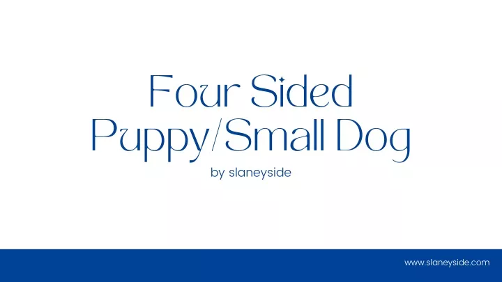 four sided puppy small dog by slaneyside