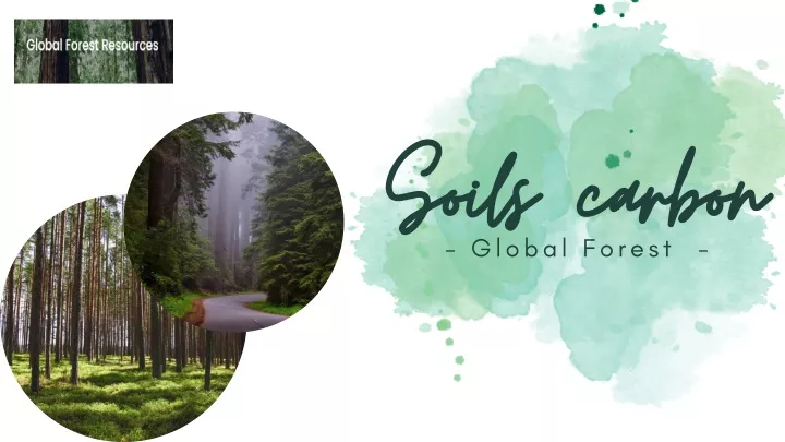 soils carbon soils carbon global forest