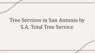 Tree Services in San Antonio by S.A. Total Tree Service