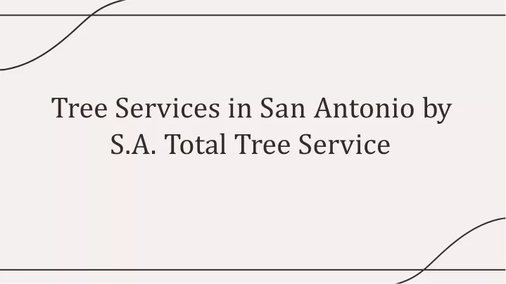 tree services in san antonio by s a total tree