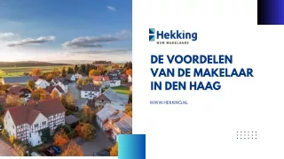De voordelen van de Makelaar in Den Haag