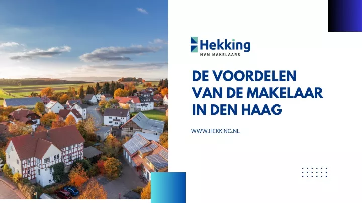 de voordelen van de makelaar in den haag