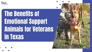 How Emotional Support Animals Aid Texas Veterans