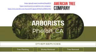 Arborists Phelan, CA