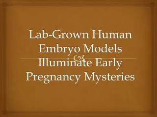 Lab-Grown Human Embryo Models Illuminate Early Pregnancy Mysteries