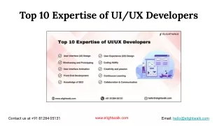 top 10 expertise of ui ux developers