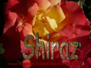 shiraz
