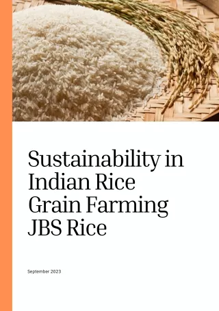 Sustainability in Indian Rice Grain Farming - JBS Rice