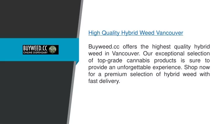 high quality hybrid weed vancouver buyweed