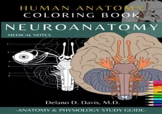 PDF Neuroanatomy: Human Anatomy Coloring Book | Medical Notes: | Neuroanatomy Co