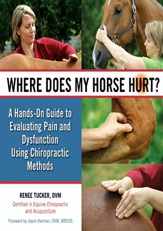 [PDF READ ONLINE] Where Does My Horse Hurt?: A Hands-On Guide to Evaluating Pain and Dysfunction