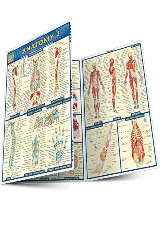 DOWNLOAD/PDF Anatomy 2 (Quick Study Academic)