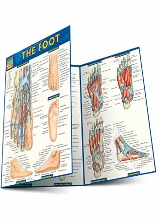 [PDF] DOWNLOAD The Foot (Quick Study Academic)