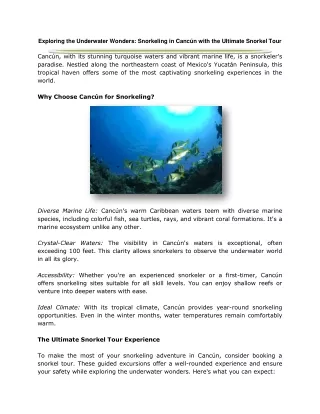Exploring the Underwater Wonders: Snorkeling in Cancún