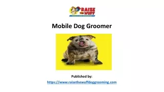 Mobile Dog Groomer