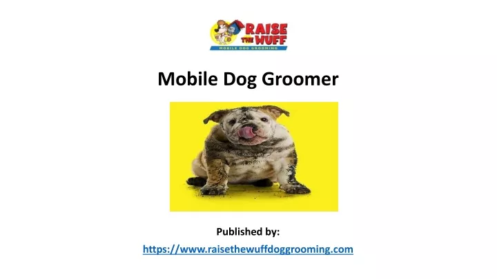 mobile dog groomer published by https