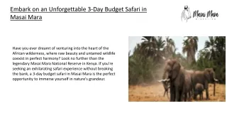 Embark on an Unforgettable 3-Day Budget Safari in Masai Mara