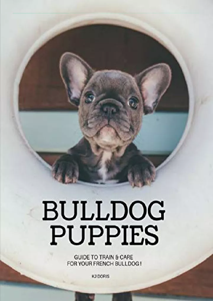 bulldog puppies guide to train care for your