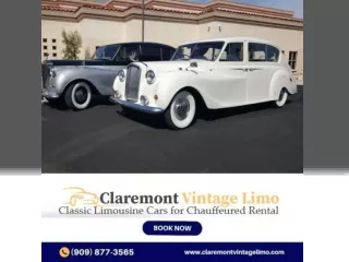 Cruising in Style: Exploring Classic Car Rentals in Rancho Palos Verdes