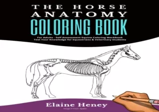 Download Horse Anatomy Coloring Book For Adults - Self Assessment Equine Colorin