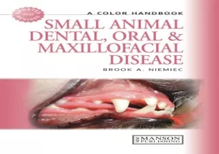 (PDF) Small Animal Dental, Oral and Maxillofacial Disease: A Colour Handbook (Ve