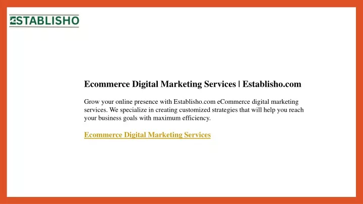 ecommerce digital marketing services establisho