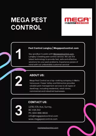 Pest Control Langley  Megapestcontrol.com