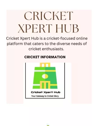 Cricket Xpert Hub-Cricket Information for Beginners and Process