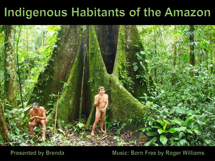 indigenous habitants of the amazon