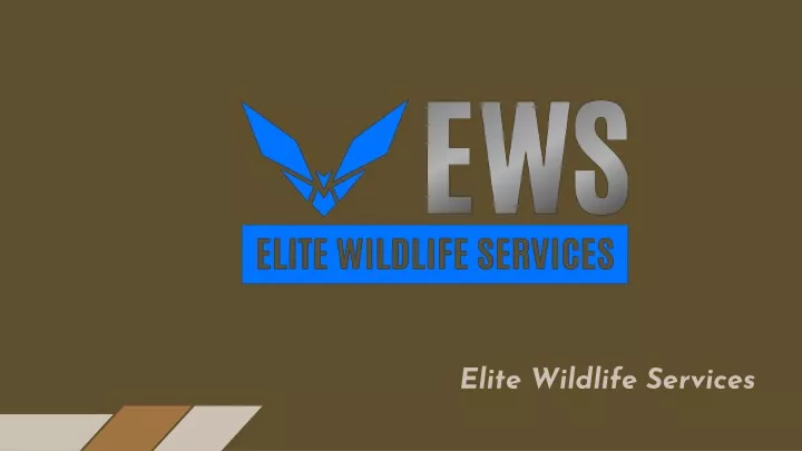 elite wildlife services