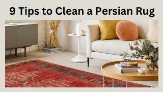 9 Tips to Clean a Persian Rug