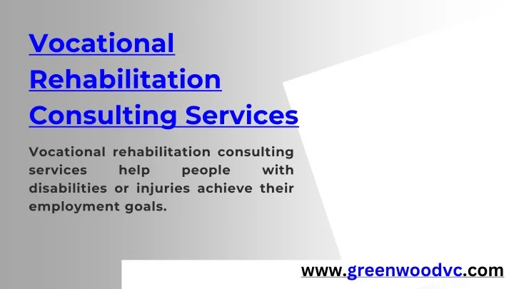 vocational rehabilitation consulting services