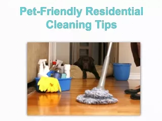 Pet-Friendly Residential Cleaning Tips