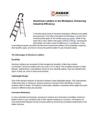 Aluminium Ladders in the Workplace_ Enhancing Industrial Efficiency (1)