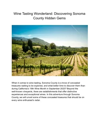 Wine Tasting Wonderland: Discovering Sonoma County Hidden Gems