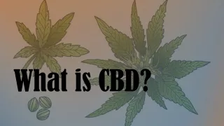 What is CBD