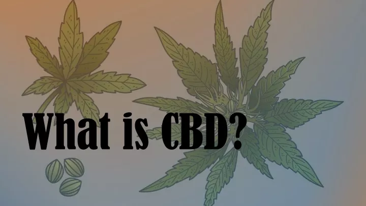 what is cbd