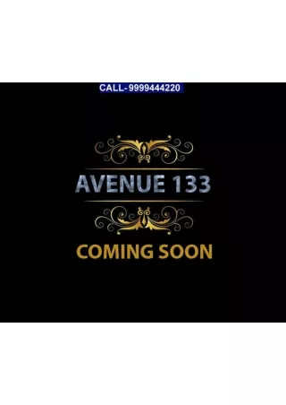 Avenue 133 Noida: A Shopping and Dining Destination