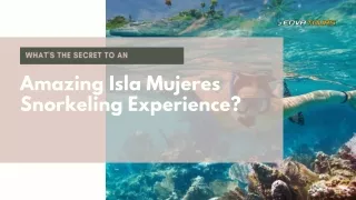 What's The Secret To An Amazing Isla Mujeres Snorkeling Experience