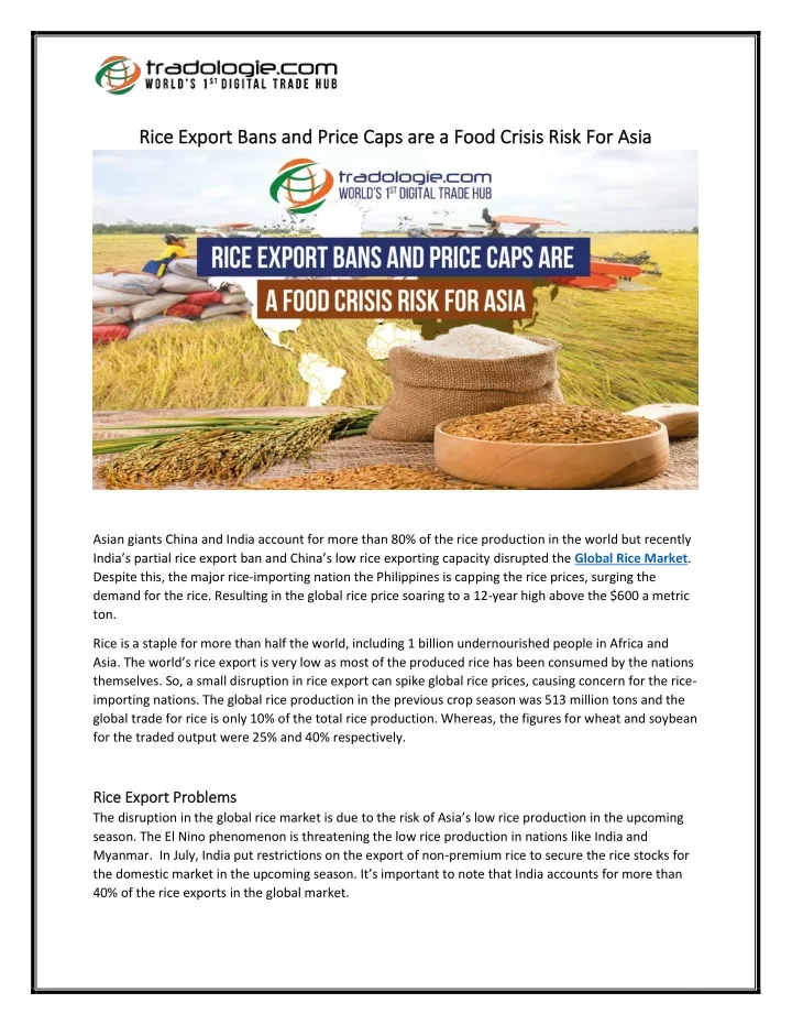 rice export bans and price caps are a food crisis