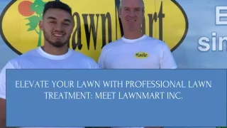 Elevate Your Lawn with Professional Lawn Treatment: Lawnmart Inc